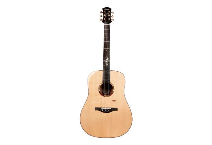 Trumon Dolphin Story – 1955D Dreadnought