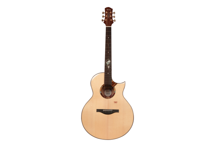 Trumon Dolphin Story – 1955TFL Florentine